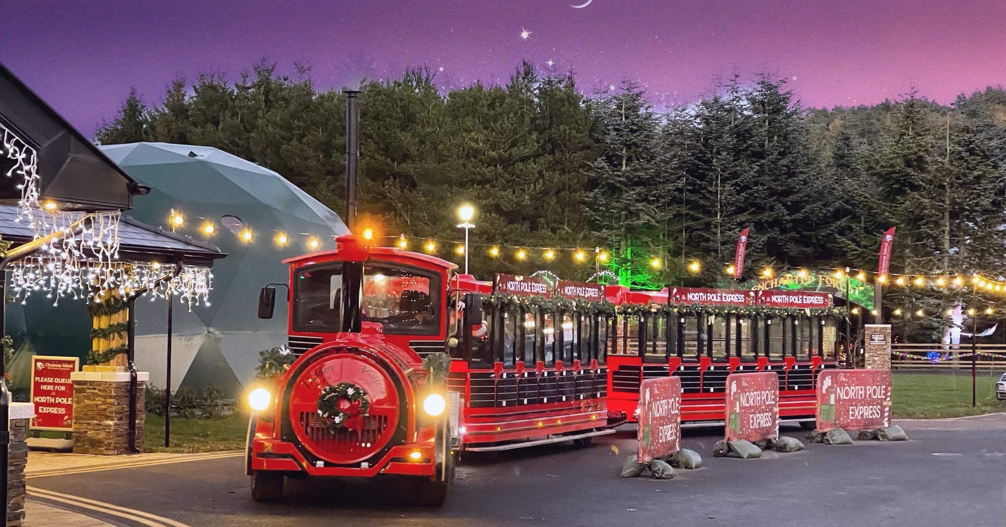 Christmas Magic in Wicklow: Beyond the Trees and More!